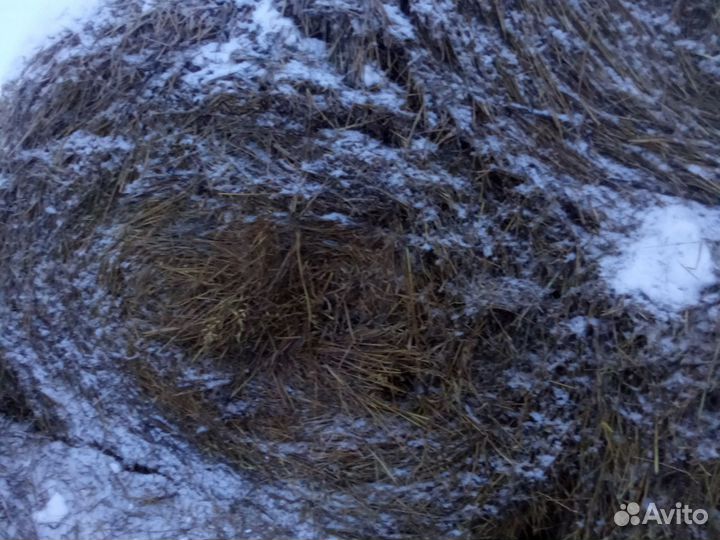 Сено-солома