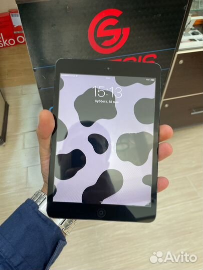 iPad mini