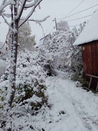 Дача 29 м² на участке 5 сот.