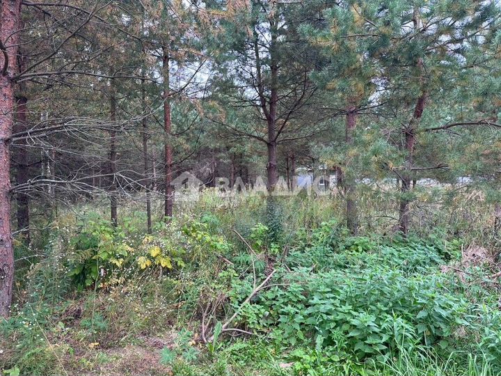 Участок 13 сот. (ИЖС)