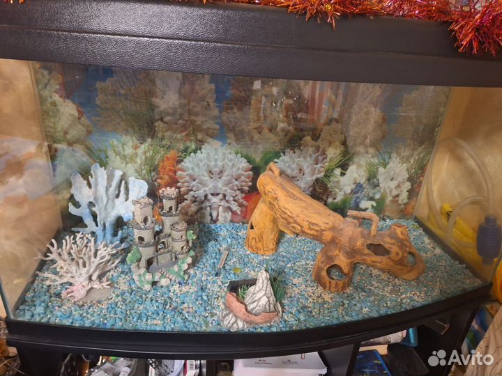 Аквариум с тумбой 150 литров