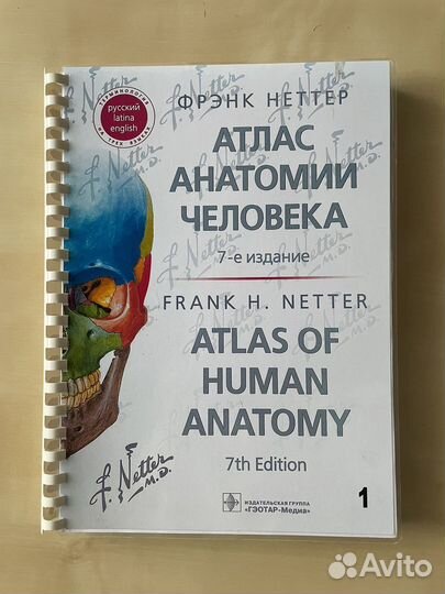 Атлас анатомии человека Фрэнка Неттера