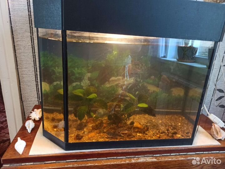 Аквариум 60 л. Комплект