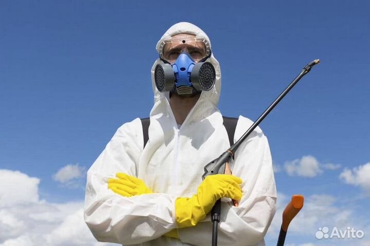 Уничтожение клопов, травить тараканов клешей блох