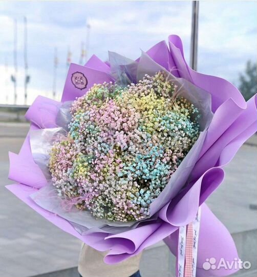 Гипсофила цветная, однотонная. Доставка бесплатно