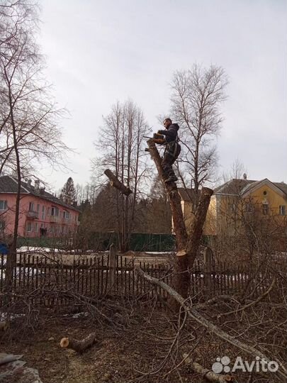 Аренда дробилки веток,дерева,щепорез,измельчитель