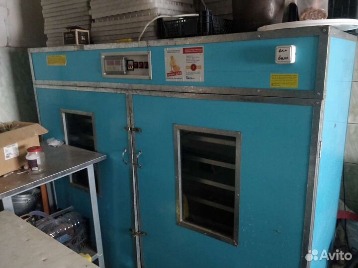 Инкубатор и выводной шкаф