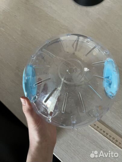 Шар для грызунов, домик и колесо