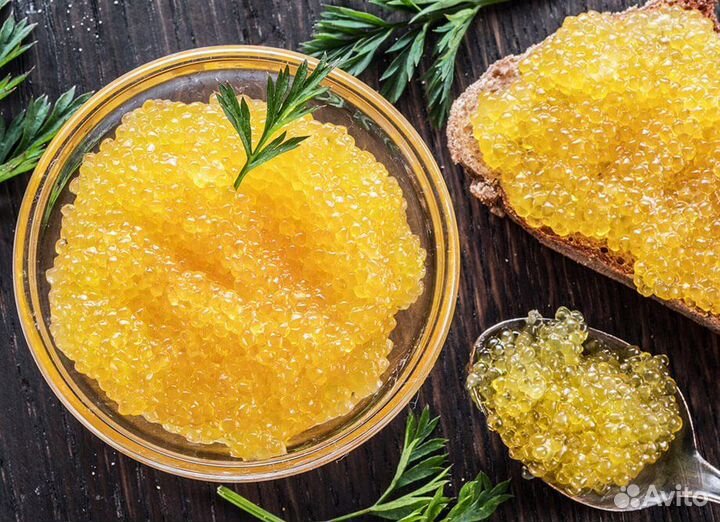 Икра щуки свежая