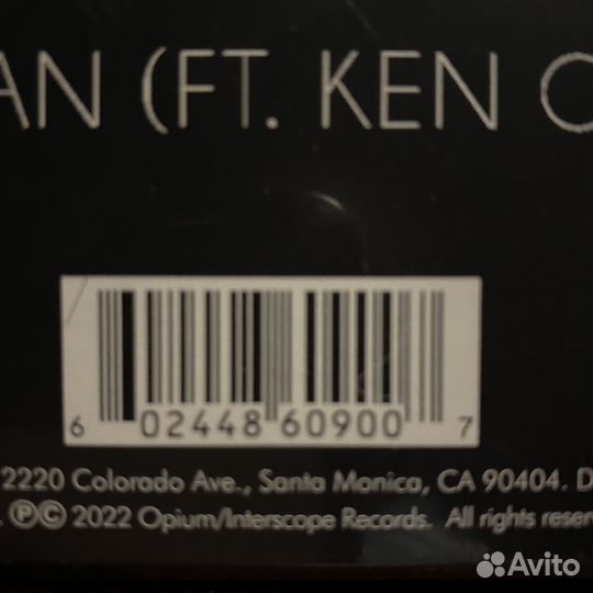 Винил Destroy Lonely «No Stylist»