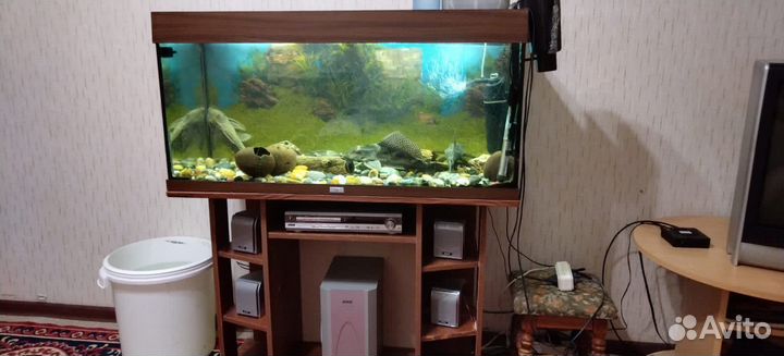 Аквариум