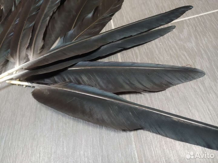 Перо для письма, писчие перья