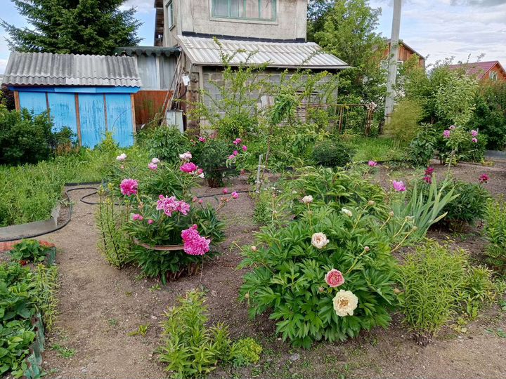 Дача 56 м² на участке 15 сот.