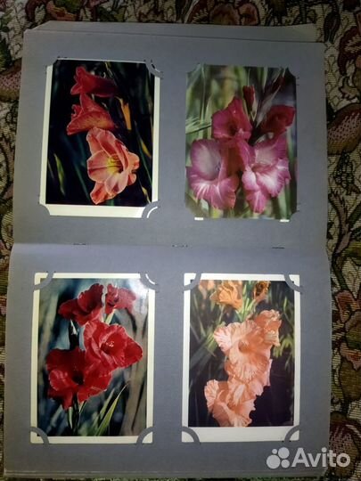 Открытки СССР