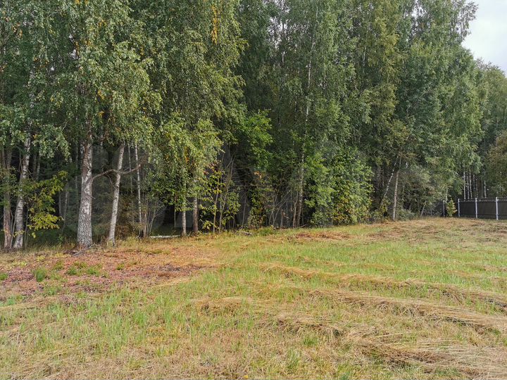 Участок 54,8 сот. (СНТ, ДНП)