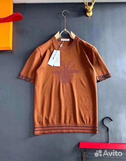 Футболка мужская Christian Dior