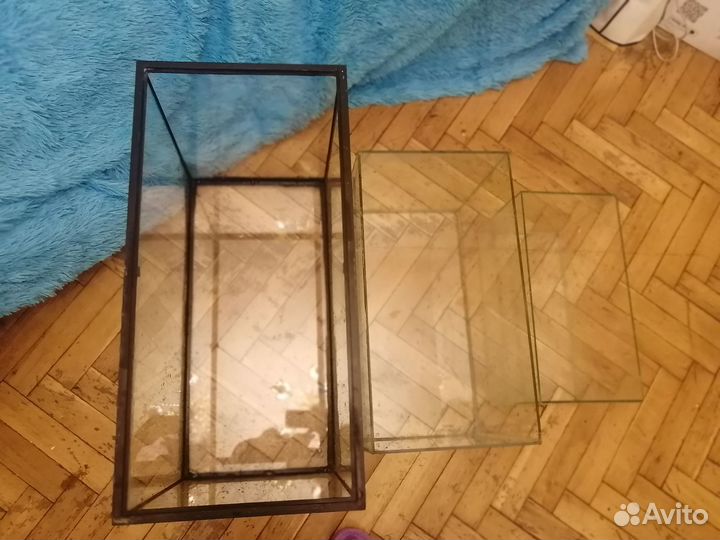 Аквариум (террариум)