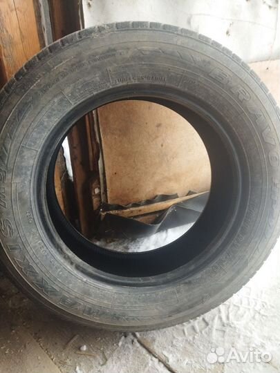 Maxxis Bravo HP-M3 195/65 R16