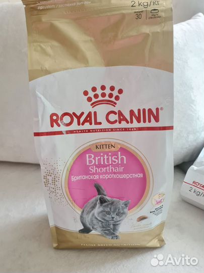 Сухой корм для британских котят royal canin для