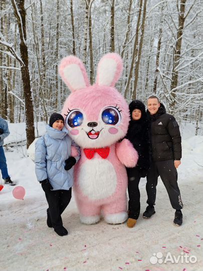 Аниматор Рыжая лиса,котик на праздник