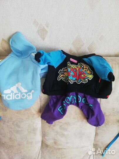 Одежда для маленьких собак