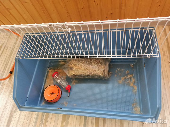 Большая клетка для морской свинки