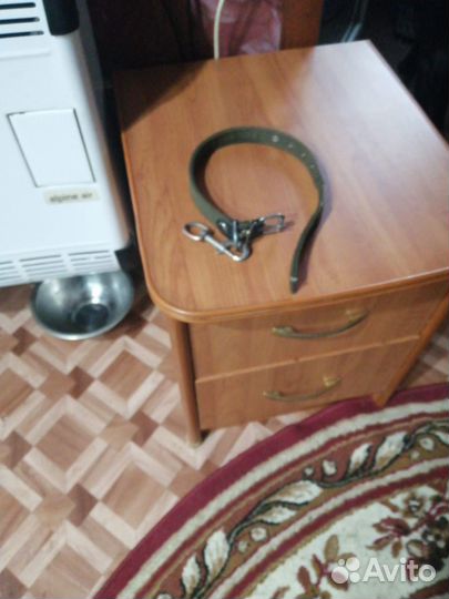 Найдена собака