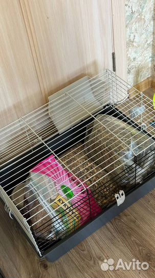 Клетка для грызунов