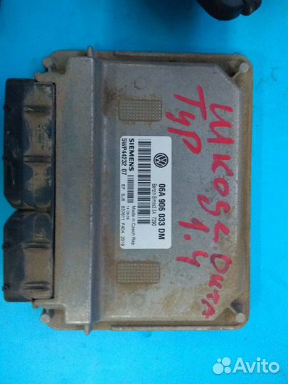 Эбу на Шкода октавия тур