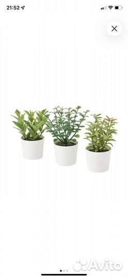 Искусственные растения IKEA Фейка 3 шт