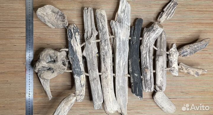 Две черепахи рядом