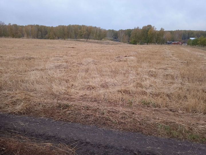 Участок 9,9 га (СНТ, ДНП)