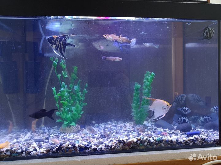 Украшение для аквариума