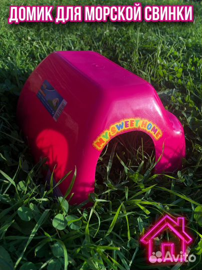 Домик для морской свинки