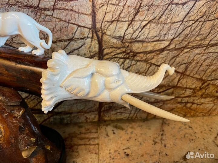 Бивень мамонта с резьбой на зубе