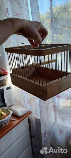 Клетка и хомяк