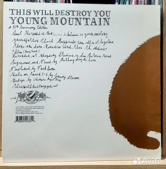 This Wil Destroy You - Young Mountain LP