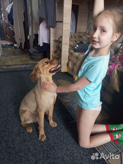 Ищем невесту