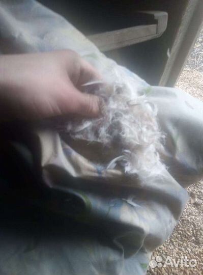 Пух, перо, подушки, перины.Б/У акку-ры.рога лося