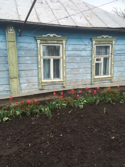 Дом 25 м² на участке 12 сот.