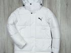 Куртка мужская зимняя puma объявление продам