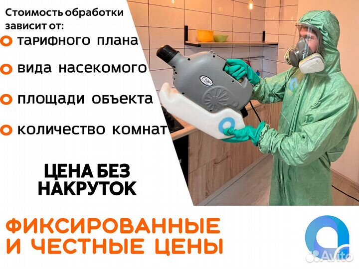 Уничтожение тараканов клопов клещей дезинсекция