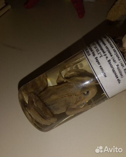 Учебное пособие 