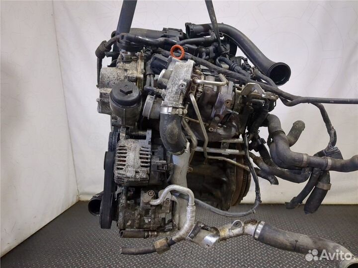 Двигатель Volkswagen Golf Plus, 2009