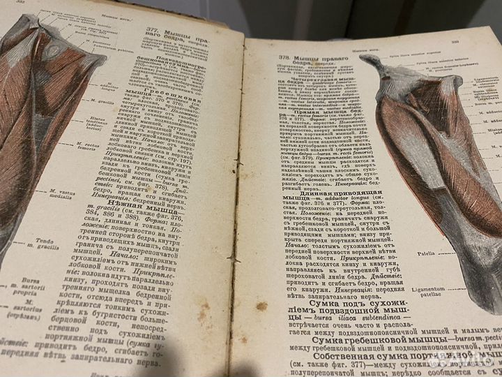 Анатомия человека атлас 1918 года