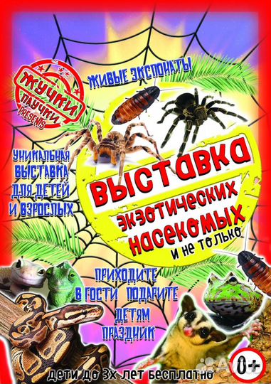 Администратор выставки