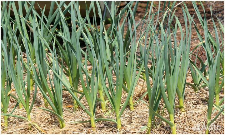 Готовый бизнес, инвестиции