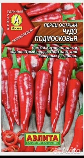 Рассада острого перца