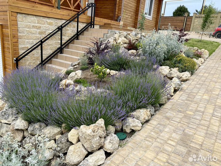 Озеленения,Ландшафтный дизайн,дизайнер