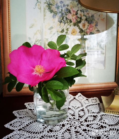 Салфетка вязаная. Новая. Ручная работа